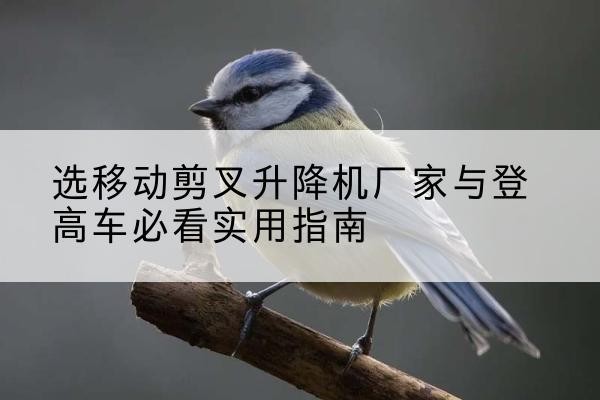 上城电动升降机厂家-选移动剪叉升降机厂家与登高车必看实用指南