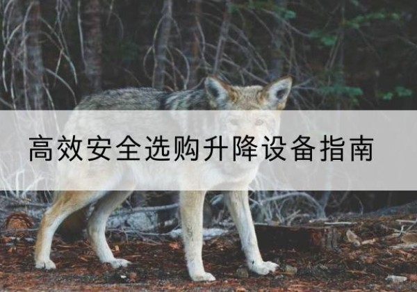 上城升降货梯厂家推荐-*安全选购升降设备指南