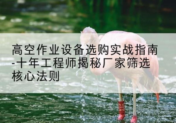 上城剪叉式升降机厂家-高空作业设备选购实战指南-十年工程师揭秘厂家筛选核心法则